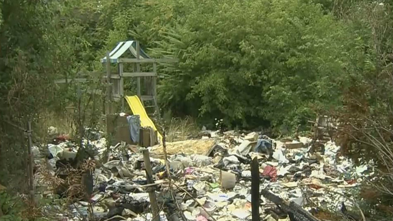 Detroit driver battles illegal dumping between rides - WDIV Detroit