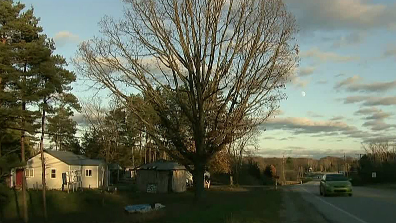 Woman's dismembered body found near home in Lapeer County