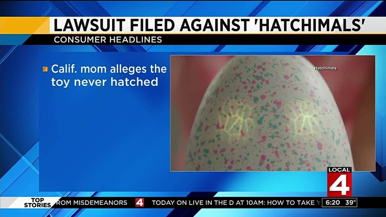 Lawsuit Filed Against In lawsuit filed against hatchimals Lawsuit Filed Against In lawsuit filed against hatchimals