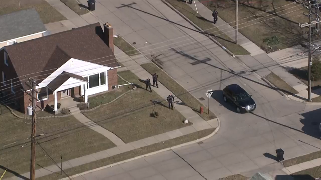 K-9 units search for driver after police pursuit ends in crash in Roseville - WDIV Detroit