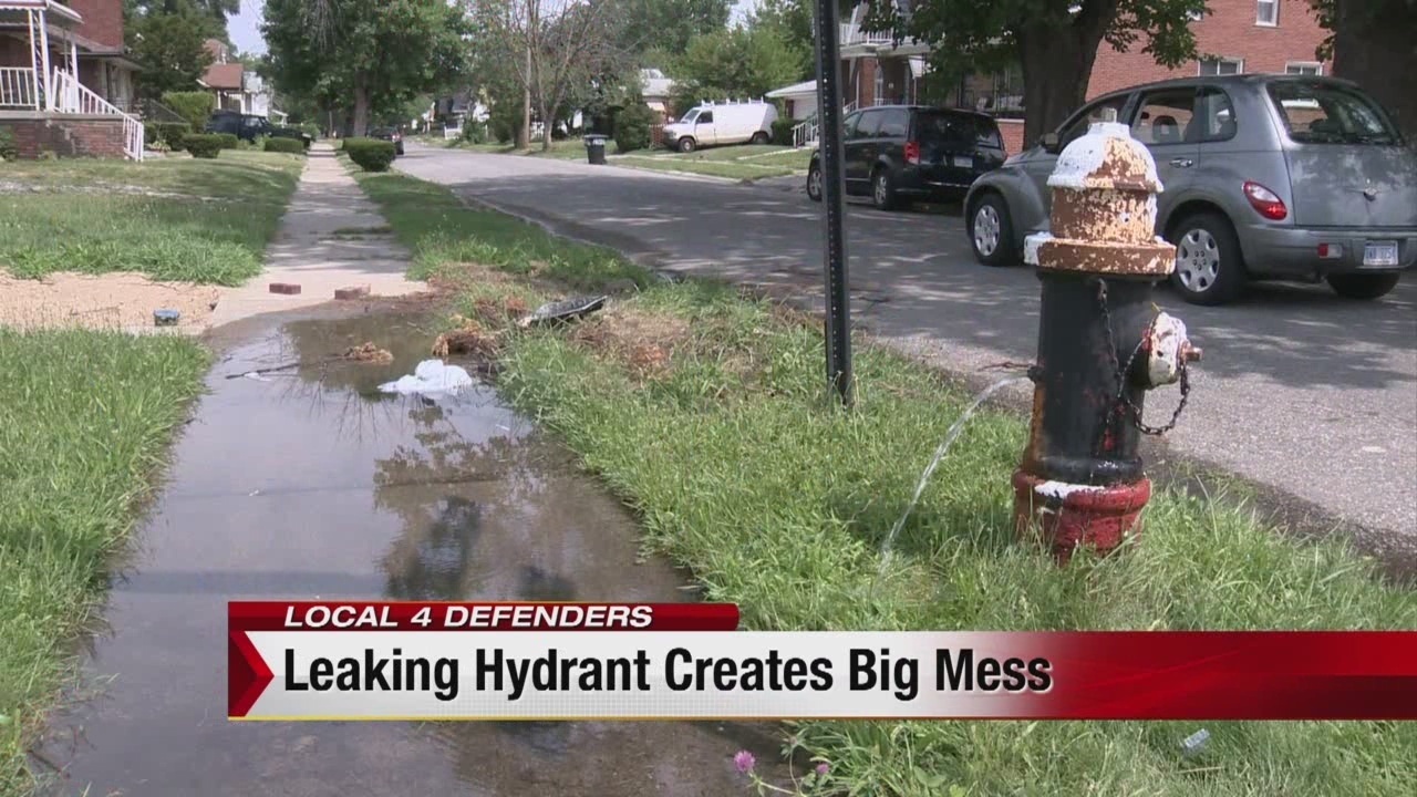 Defenders Leaking Detroit fire hydrant creates big mess