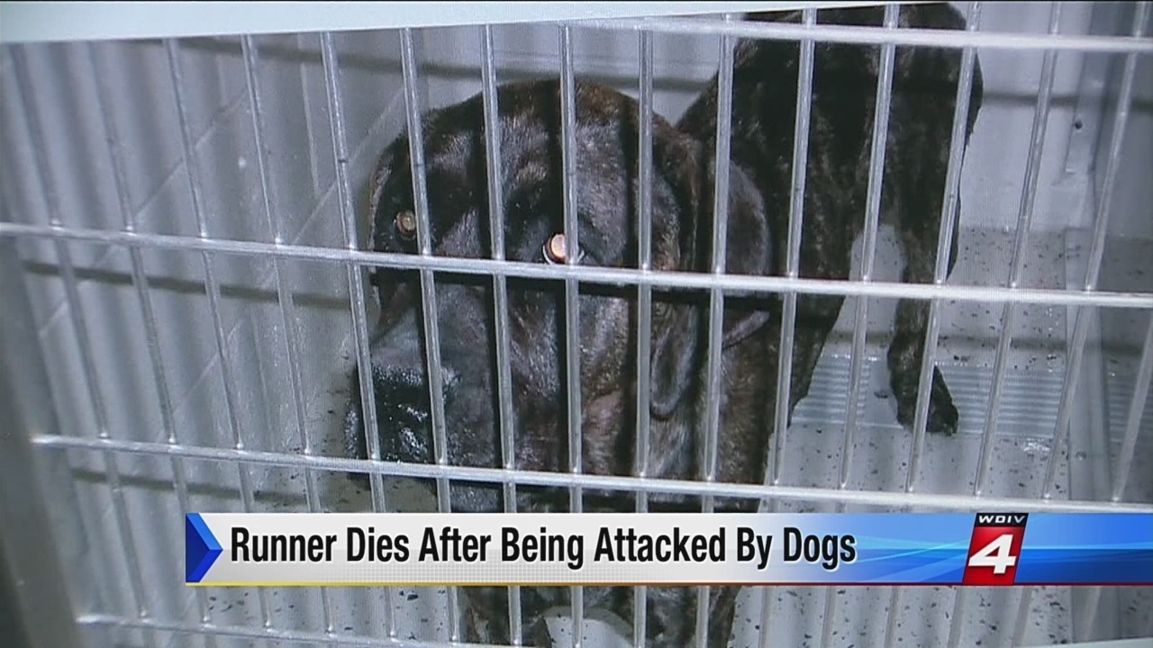Runner dies after dog attack in Metamora