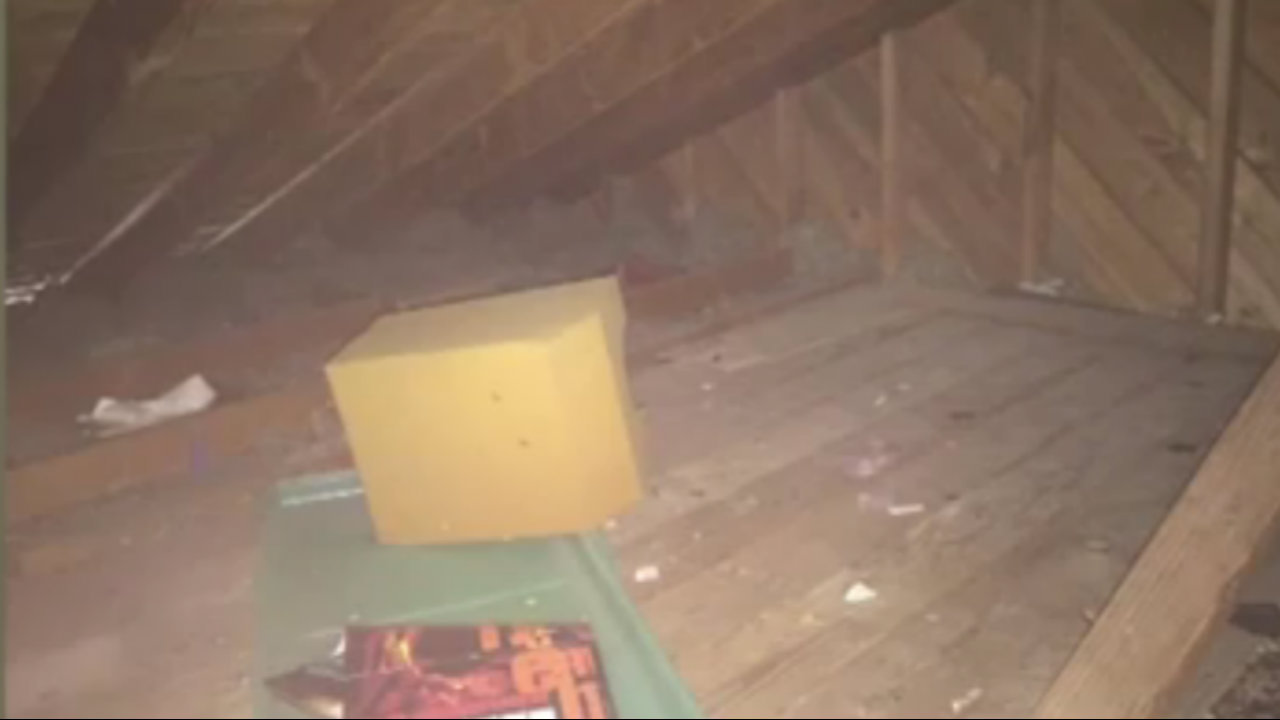 Attic Crawl E Door Photos Wall And Tinfishclematis Com Attic Crawl E Door Photos Wall And Tinfishclematis