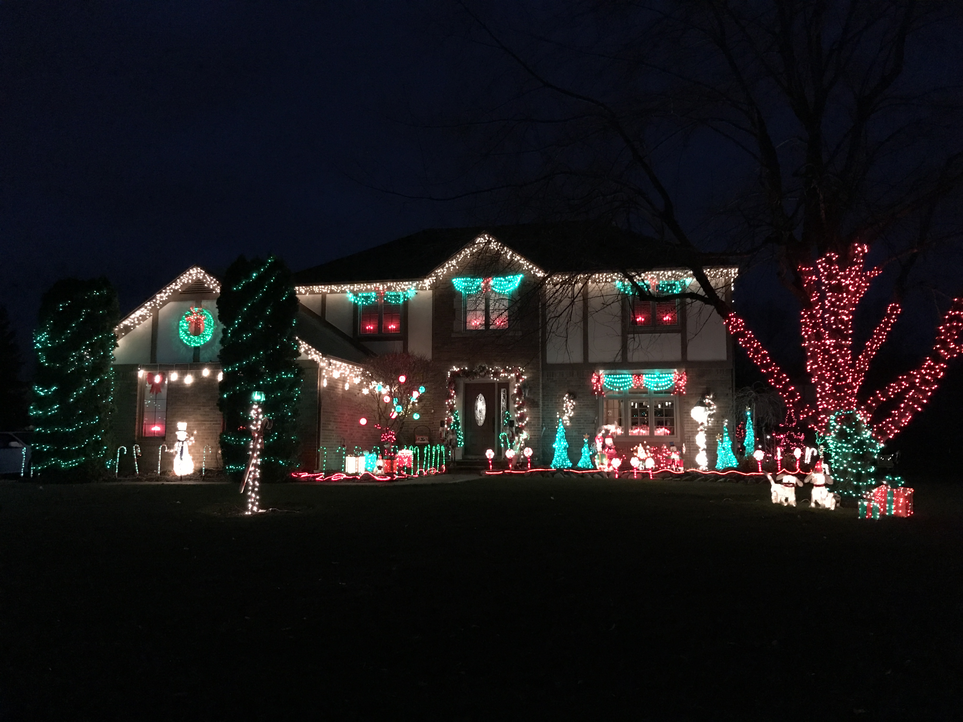 ace hardware christmas lights projector outdoor lights ace hardware christmas lights projector outdoor lights
