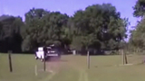 DASHCAM: Florida pursuit takes officers through the backwoods