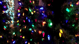 Festival of Trees returns to Deaborn for 33rd year this holiday season