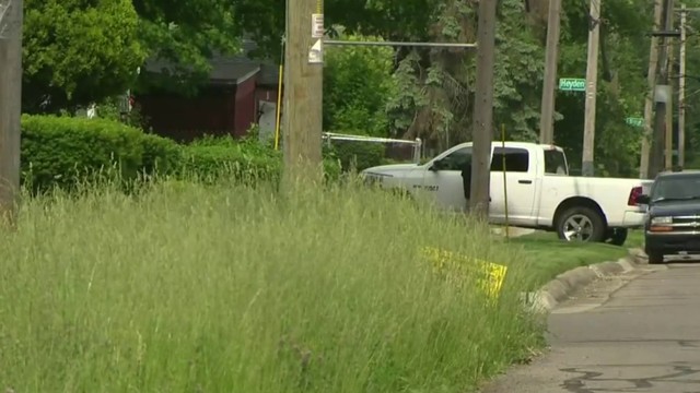 Tall Grass Causes Traffic Hazard On Detroit's West Side - Tall Grass Causes Traffic Hazard On Detroit's West Side