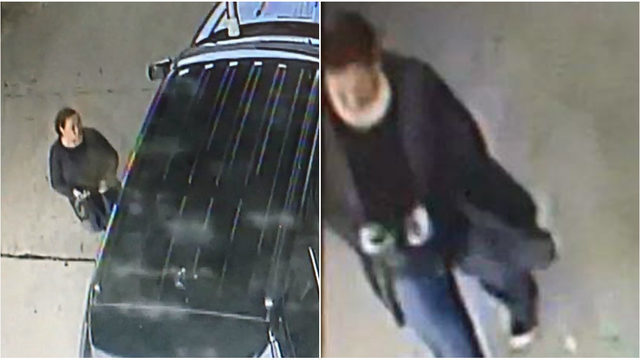 Woman slaps 70-year-old during argument over gas pumps in New Baltimore,&hellip;