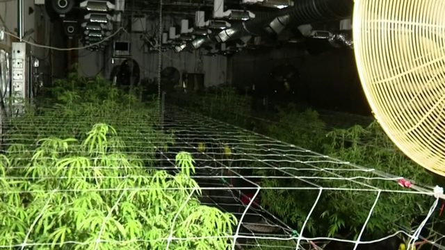 Detroit building left unsecured after authorities discover marijuana&hellip;