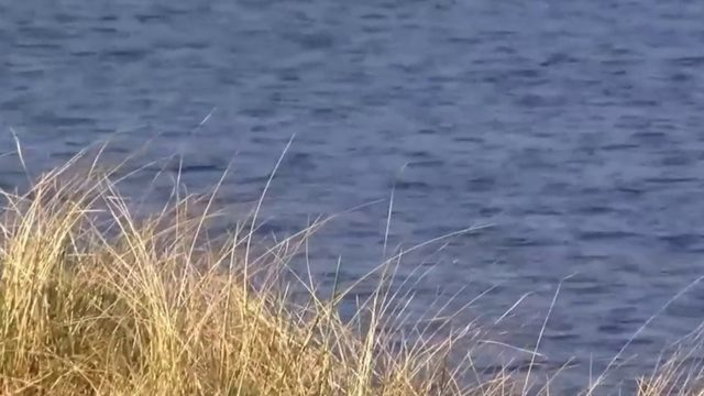 Michigan officials urging people to be cautious of high water levels