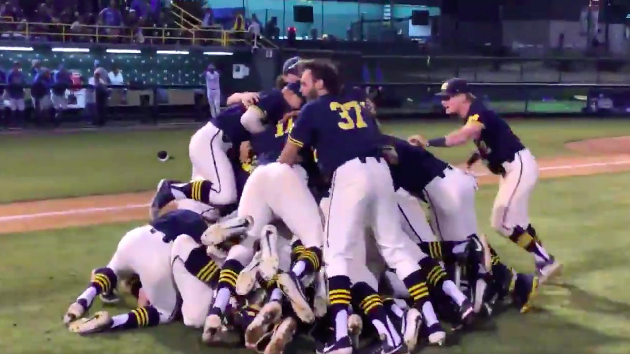 Michigan Baseball Va Happy