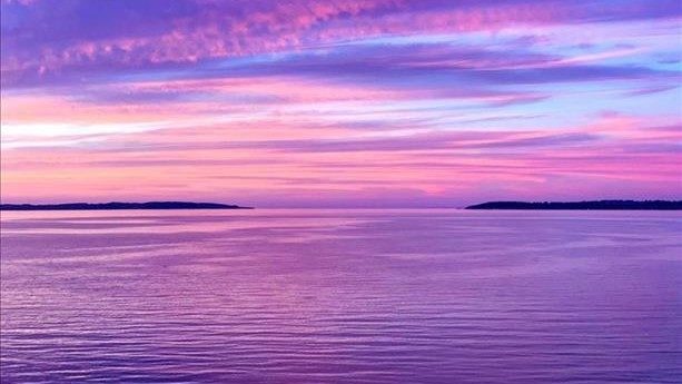 No description available