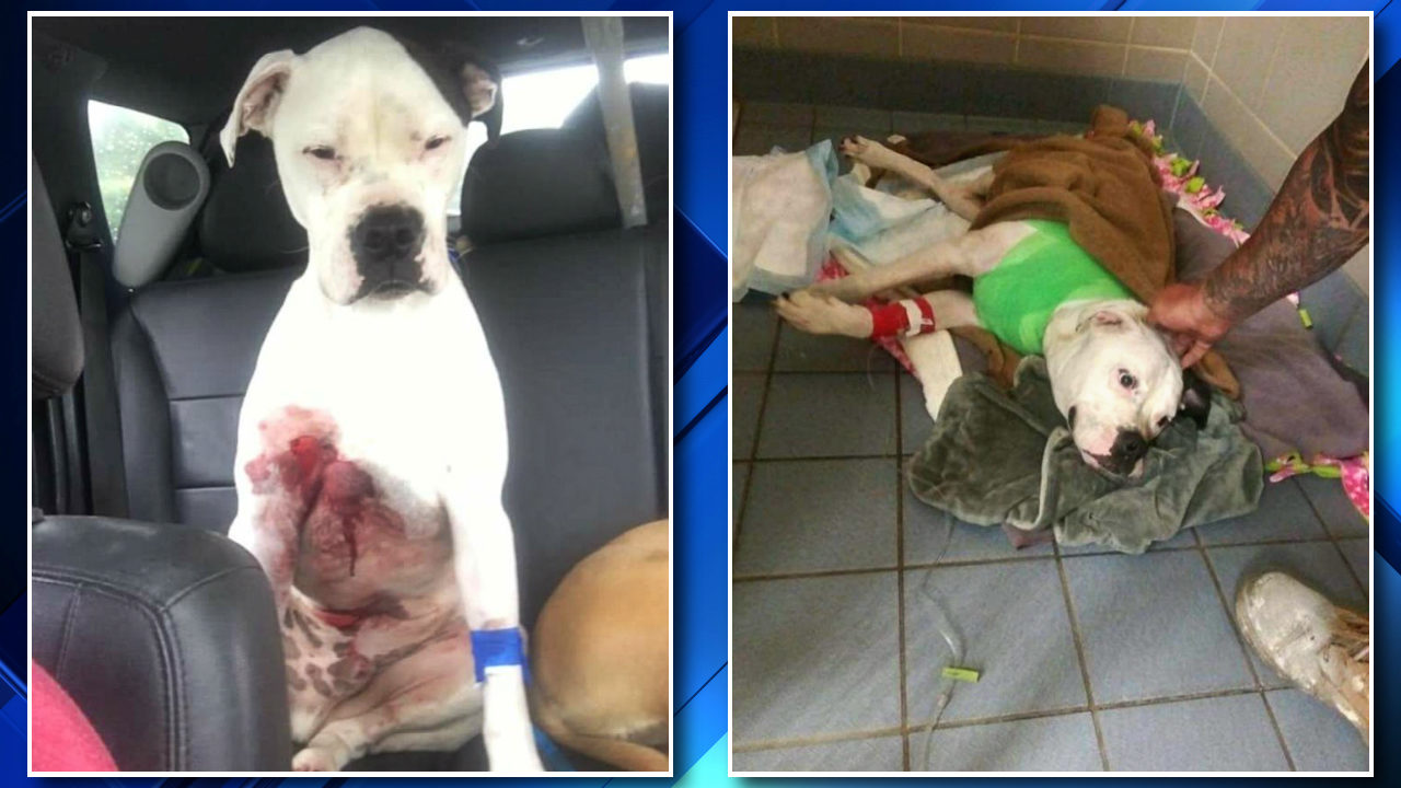 No description available