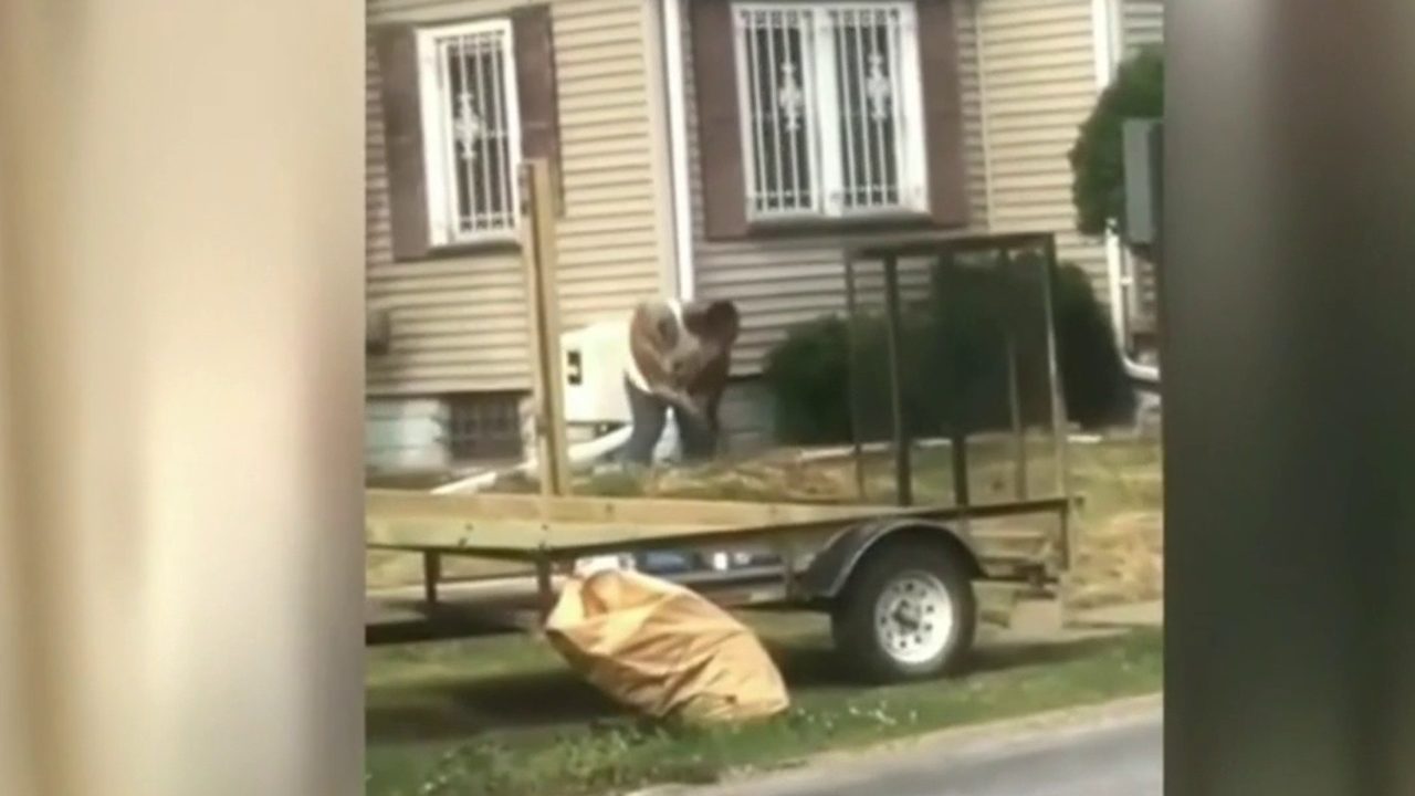 No description available