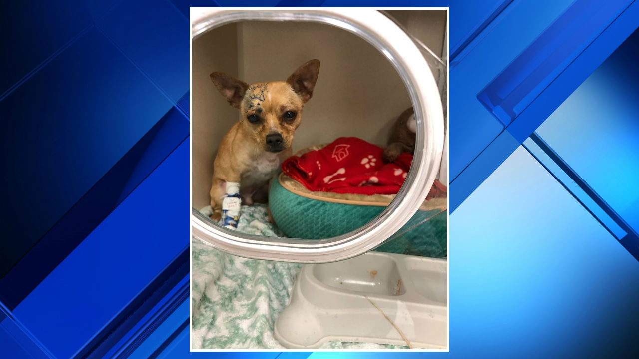 No description available