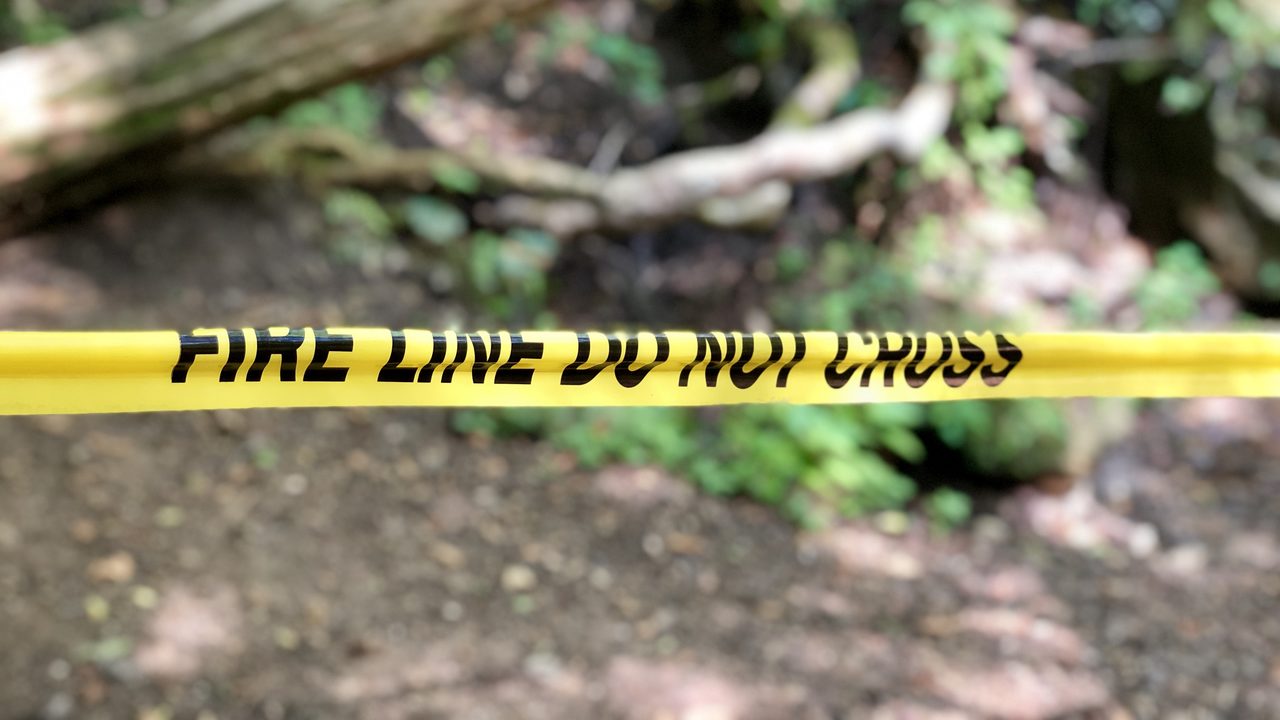 No description available