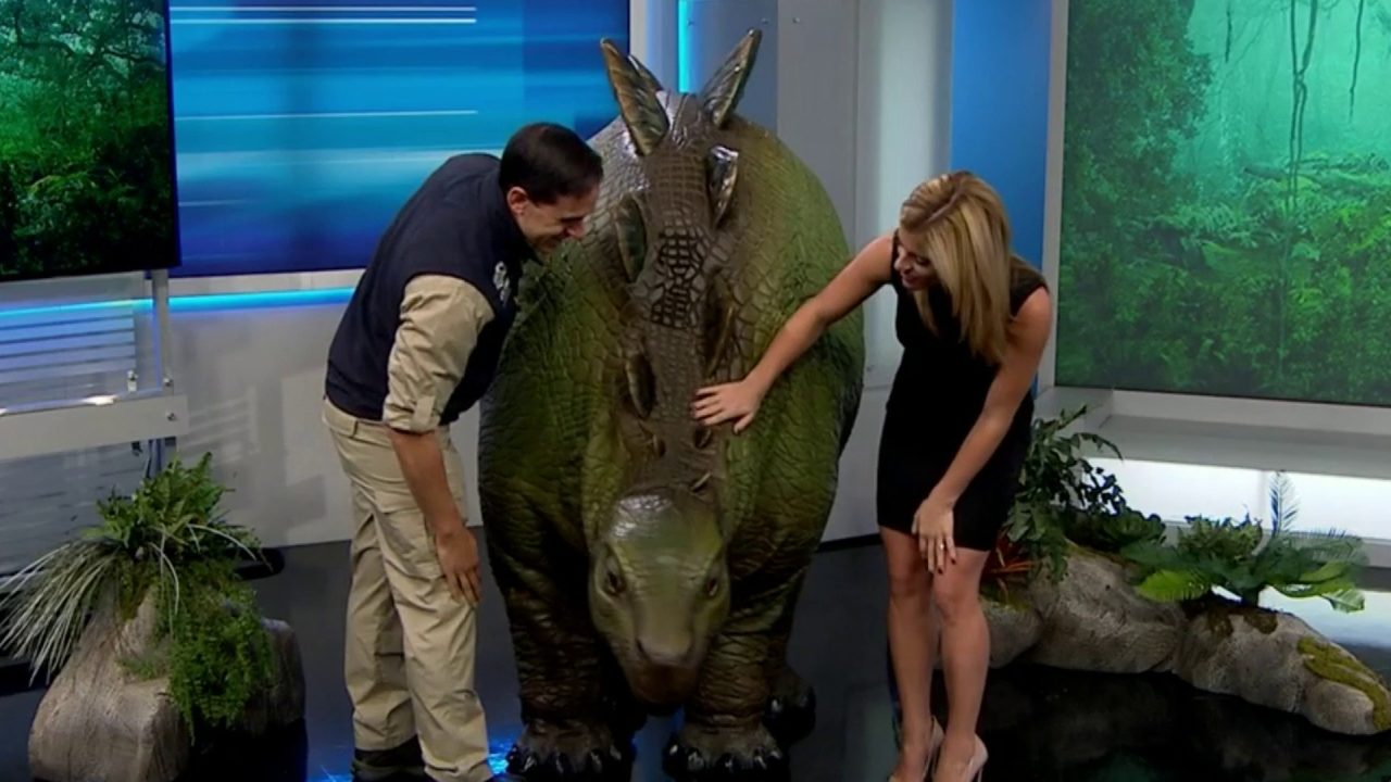 No description available