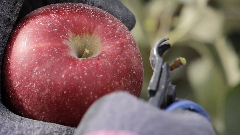 No description available