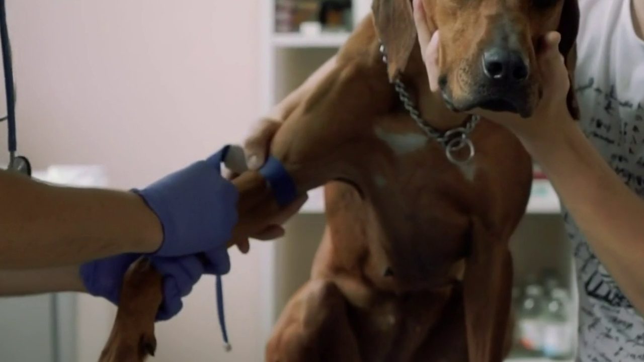 No description available